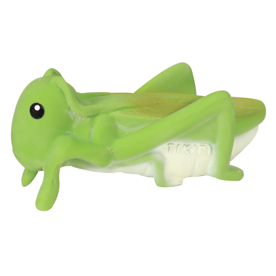 Tikiri Grasshopper Gift Box