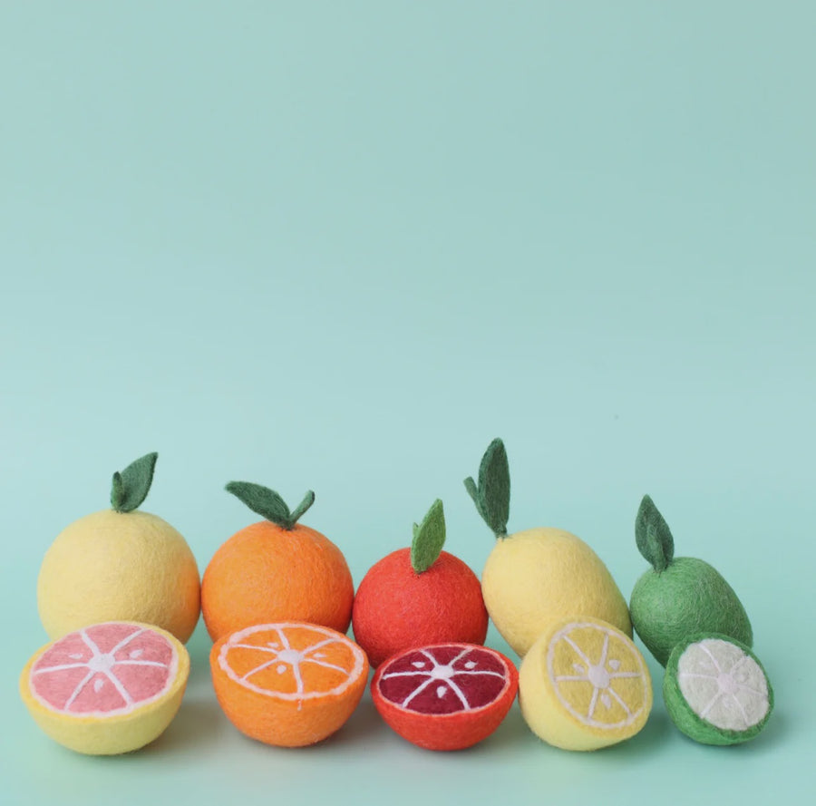 Citrus Fruit Set