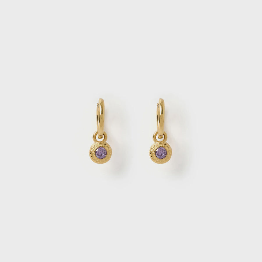 Crushed Birthstone Earrings - February Amethyst