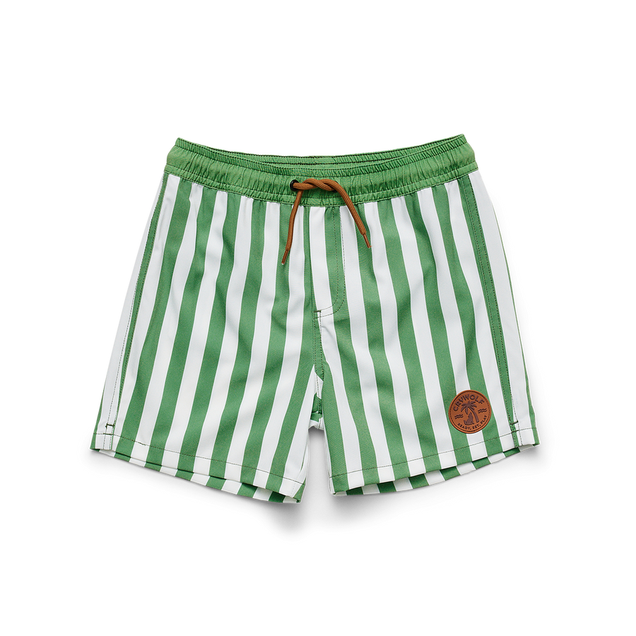 Board Short Coastal Stripes