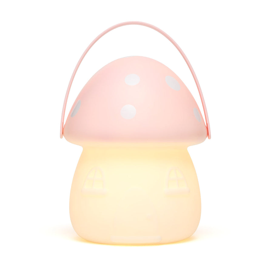 Fairy Carry Lantern Pink & White