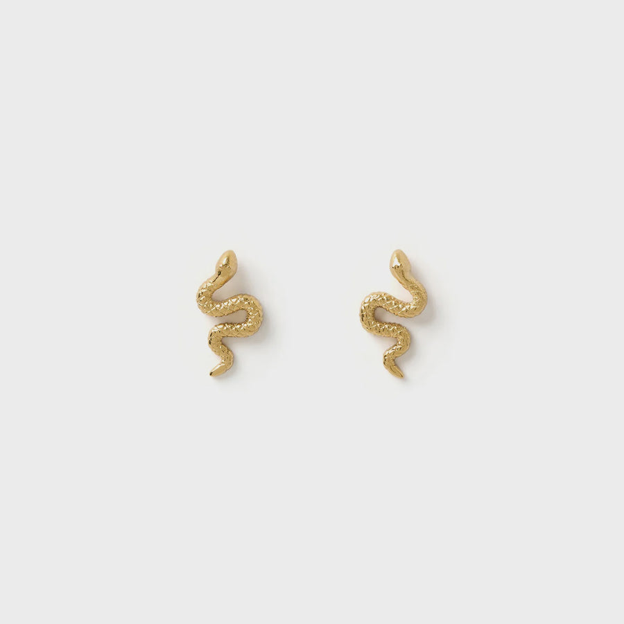 Serpent Gold Studs