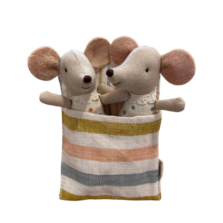 Twins Baby Mice in Matchbox