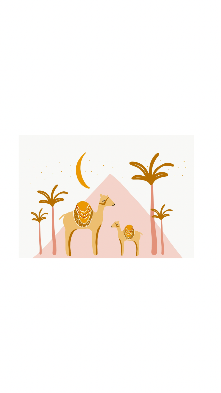 Camels Pink A4